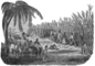 mid 19th Century.<br/>Origins: Rhums et eaux de vie de canne D Kervegant - 1946.