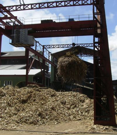 Cane loading - St James distillery, Martinique cane loading