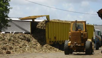 Moving floor truck - St James distillery, Martinique moving floor truck
